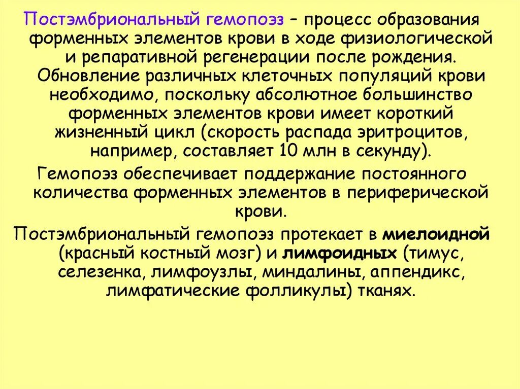 Эмбриональный гемопоэз. Постэмбриональный лимфопоэз. Характеристика постэмбрионального кроветворения в тимусе. Гемопоэз миелопоэз. Постэмбриональный эритропоэз.