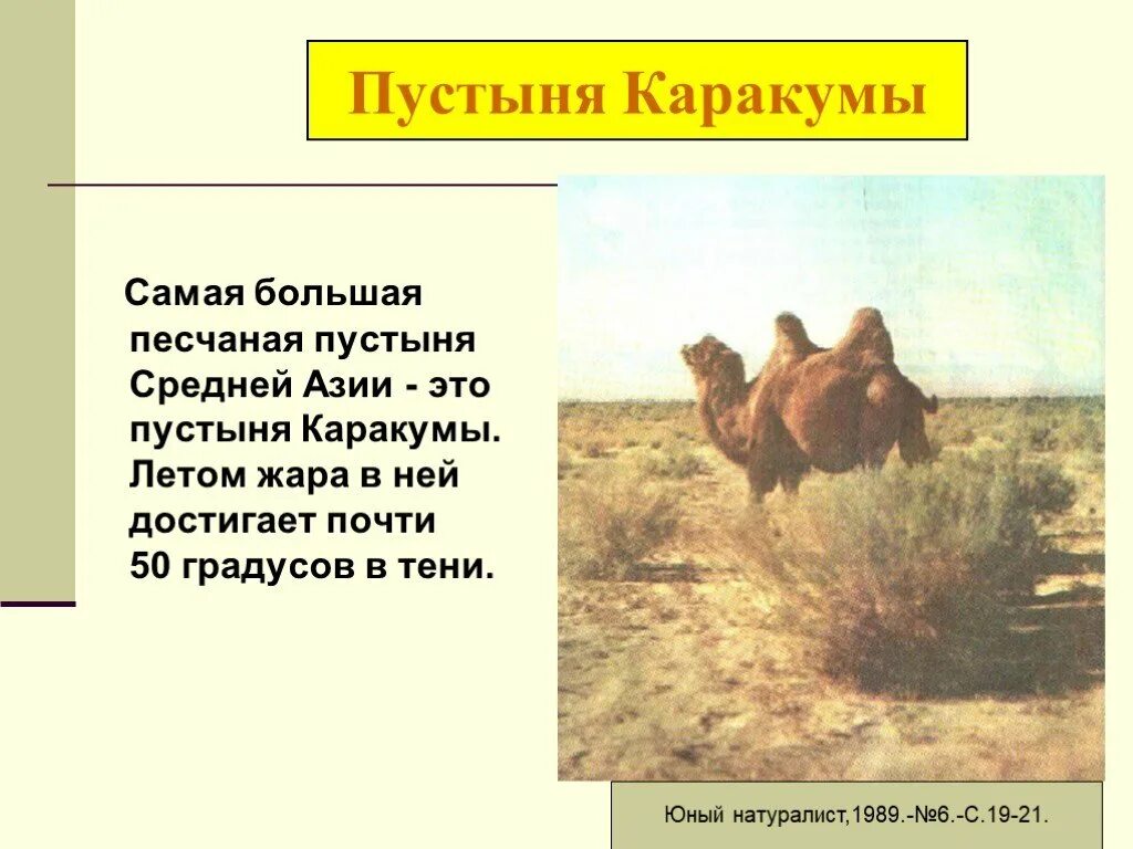 Какое произведение из тех