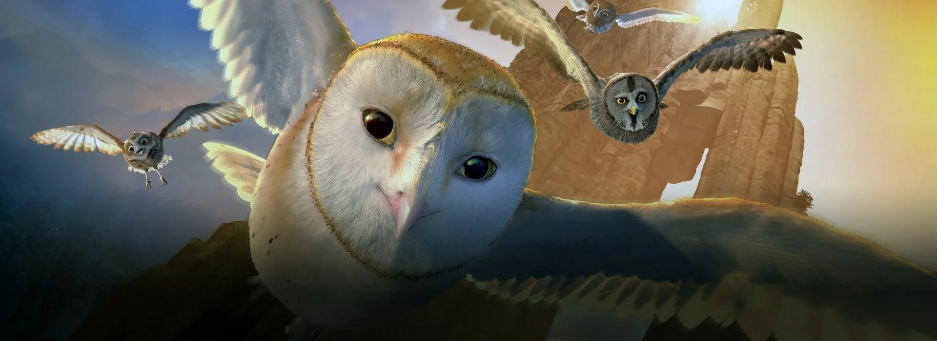 Ga hoole guardians the owls legend. Легенды ночных стражей вектор. Сматт из легенды ночных сстражей. Легенды ночных стражей обои. Легенды ночных стражей диск.