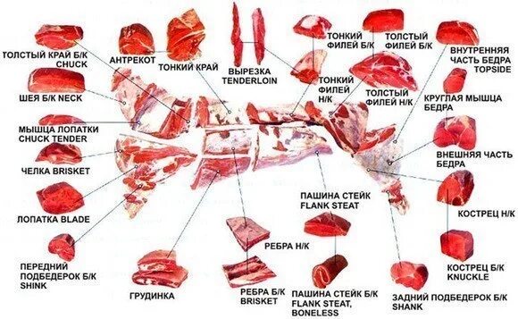 Схема разруба туши телятина. Говядина туша разруб схема. Части разруба говядины. Разделка говядины схема глазной Мускул. Верхний тонкий край