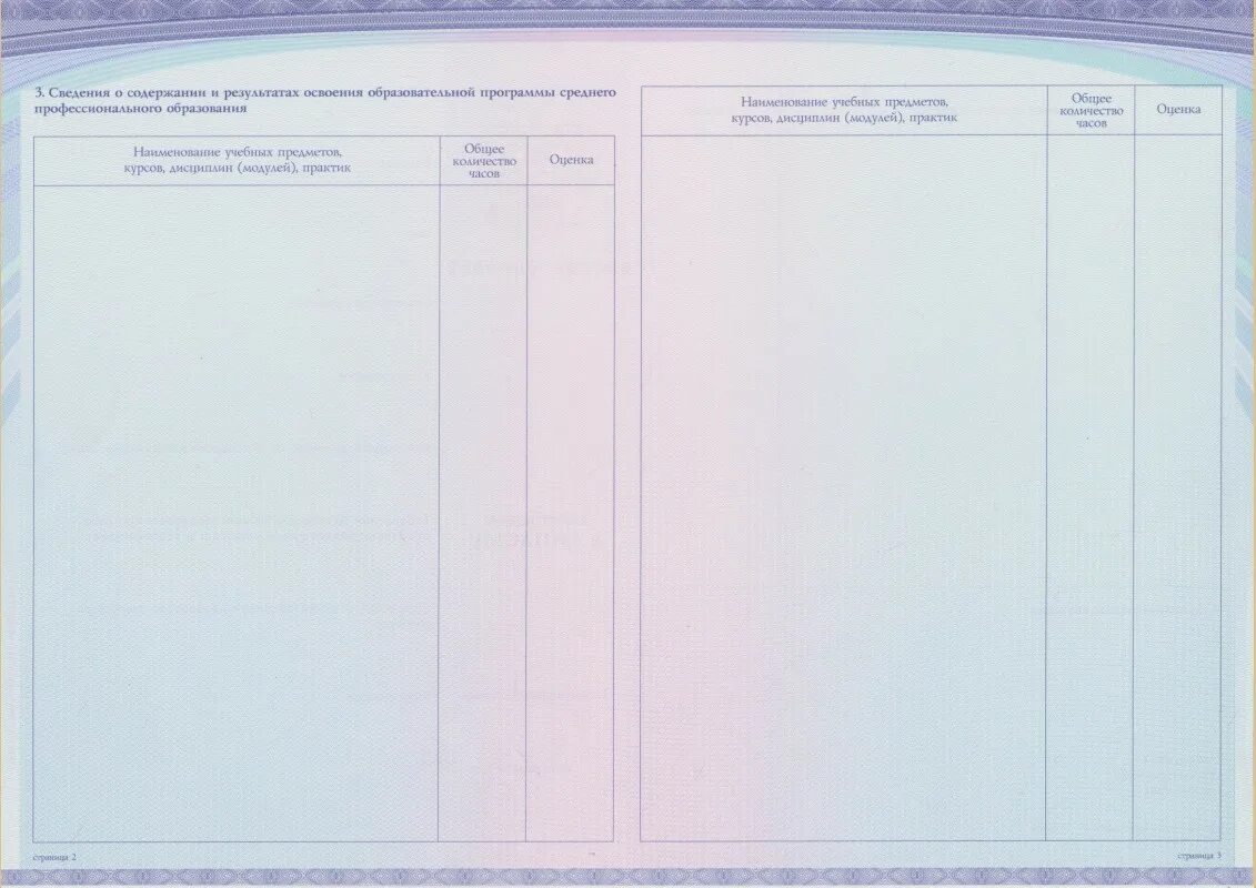 Оценки вкладыш. Приложение к диплому о среднем профессиональном образовании. Вкладыш к диплому о среднем профессиональном образовании. Бланк приложения к диплому СПО.