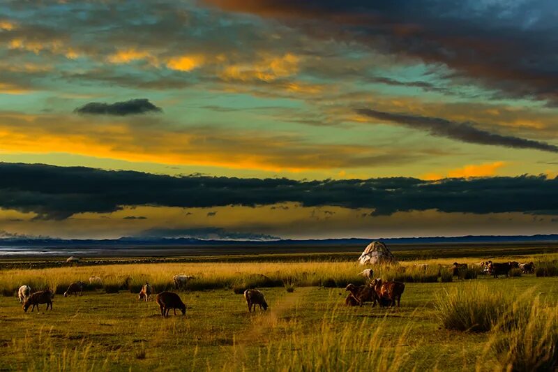айтиев гапар айтиевич картины. степной пейзаж с юртой. степной пейзаж 4. суриков степь. степной пейзаж с традиционными постройками 4 класс.