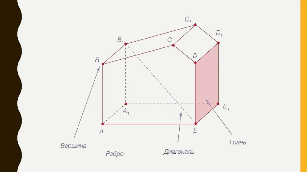 Вершины грани. Вершины ребра грани многогранника. Вершины ребра грани многогранника развертка. Рёбра, грани, вершины, диагонали.