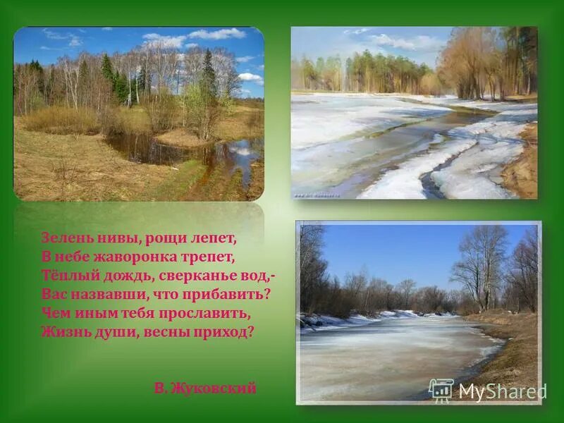 Красота родной природы в стихах русских поэтов. Зелень Нивы Рощи лепет в небе жаворонка трепет. Проект краски и звуки родной природы. Какой образ родной природы возникает в стихотворениях