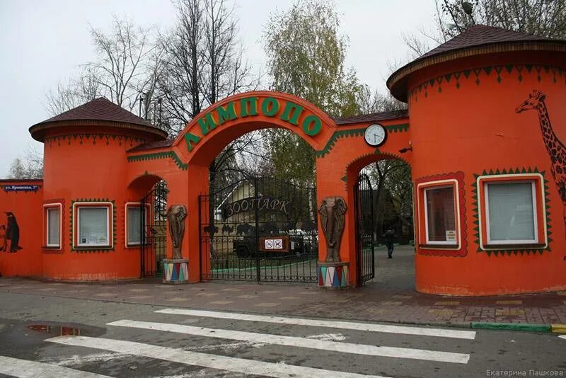 Ботанический сад в лимпопо нижний новгород. Лимпопо нижний новгород. Лимпопо вакансии нижний новгород. Зоопарк лимпопо нижний новгород аттракционы. Лимпопо нижний новгород аттракционы.