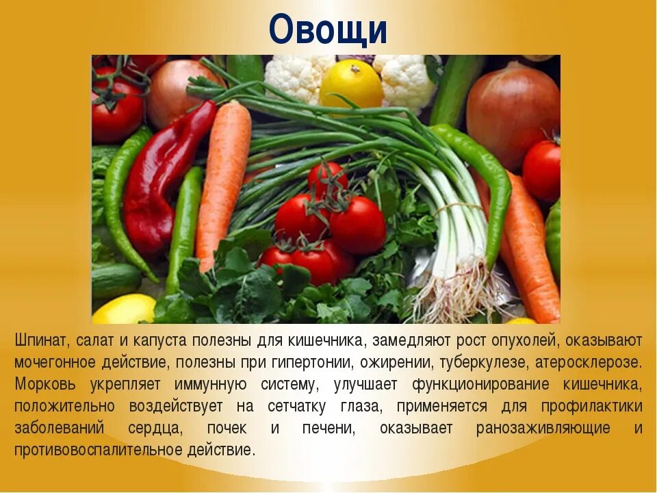 Использование овощей человеком. Полезные овощи. полезные свойства овощей. полезные овощи для организма. полезные овощи для человека.