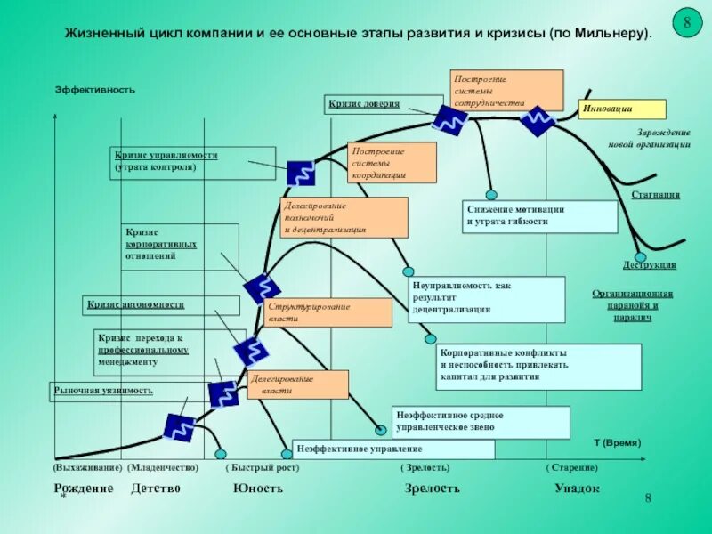 Стадия (фаза) жизненного цикла предприятия. Жизненный цикл организации Мильнер. Стадия становления жизненного цикла организации. Организация и этапы жизненного цикла организации. Организация ее жизненный цикл