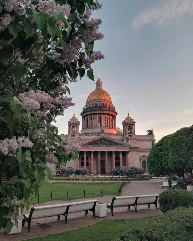 петербург атмосферные места. архитектура питера эстетика. петроградка санкт-петербург. эрмитажный театр санкт-петербург. петербург атмосферные места.