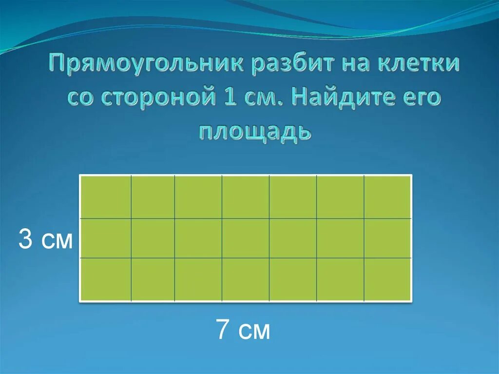 Прямоугольник. Площадь прямоугольника. Площадь прямоугольника 3 класс. Прямоугольник разбитый на клетки.