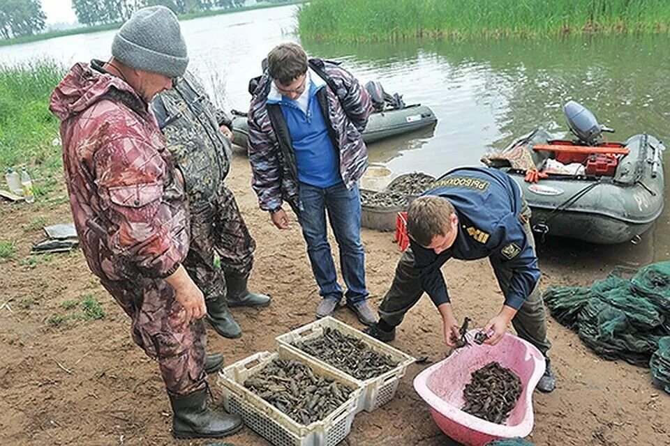 Улов ресурсы. Браконьерство рыбалка.