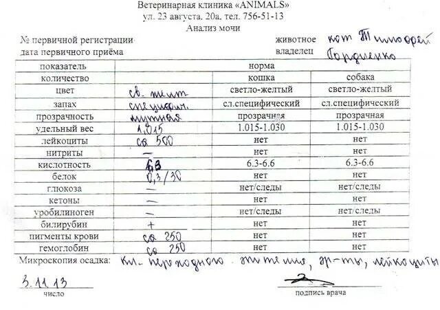 Какую мочу сдавать при цистите. Анализы при цистите показатели. анализ мочи при цистите показатели. анализ крови при заболеваниях мочевого пузыря показатели. анализ мочи при сахарном диабете бланк.