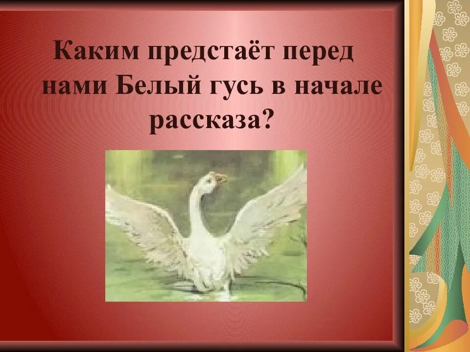 Белый гусь произведение. Белый Гусь Носов. Рассказ Носова белый Гусь.