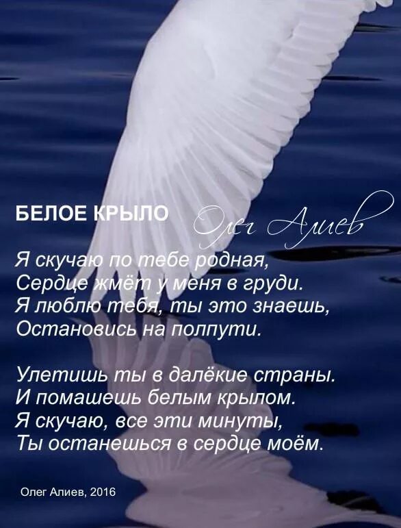 Соскучился по родному городу. Я скучаю по тебе родной. Скучаю по тебе родной мой. Белый Крылья я. Мне бы белые Крылья.