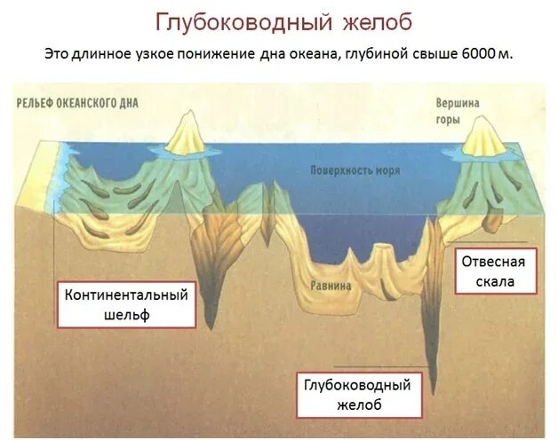 Марианская впадина рельеф дна. Глубоководные желоба. Глубоководные Океанические желоба. Глубоководный желоб дна мирового океана. Зоны дна океана