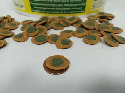 Spirulina wafers