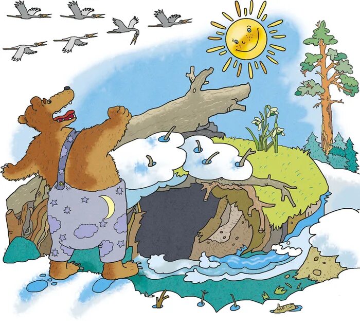 Н сладков медведь и солнце. Медведь и солнце Сладков иллюстрации. Медведь и солнце Сладков иллюстрации к сказке. Сказка Сладкова медведь и солнце с иллюстрациями. Иллюстрации к сказке медведь и солнце н Сладкова.