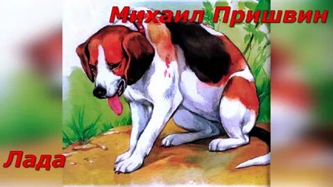 Пришвин видео