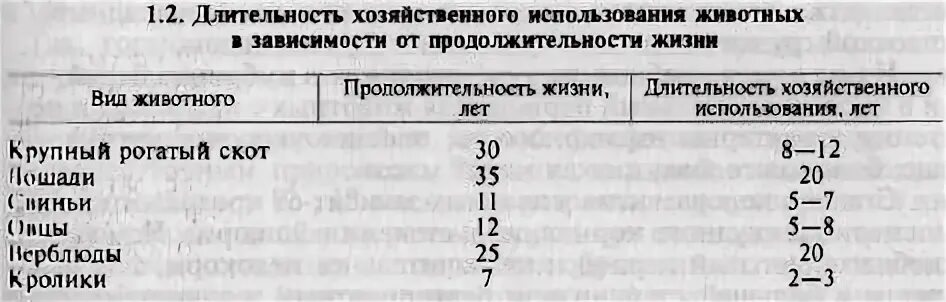 Продолжительность жизни животных. Продолжительность жизни животных таблица. Продолжительность жизни жив. Продолжительность жизни разных животных.