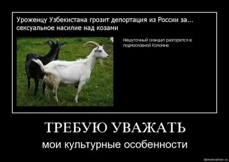 Изменила с кавказцем