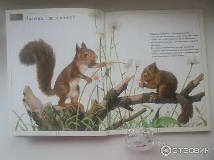 Животные и их мир книга