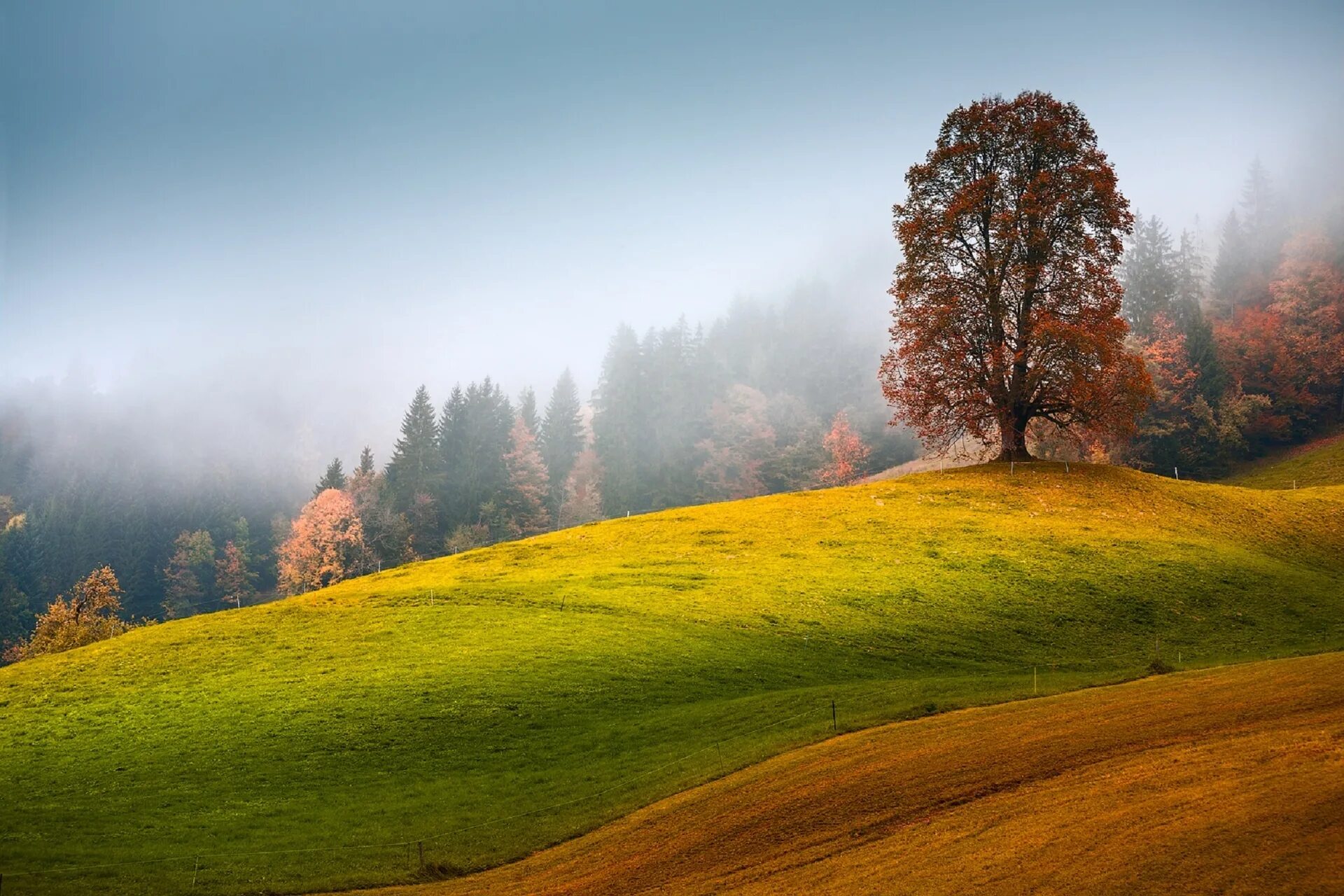 Beautiful hill. Пейзаж холмы. Осень холмы. Красивые холмы. Осеннее поле.