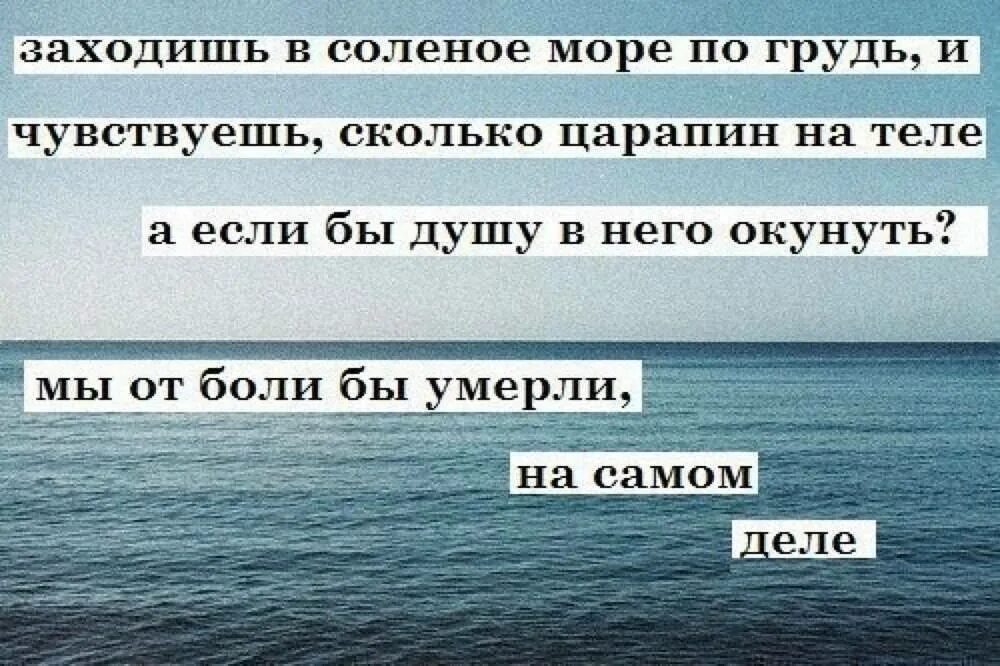 Скоро умру песня. Заходишь в соленое море и чувствуешь. Афоризмы про море. Лучшие цитаты про море. Статусы про море.