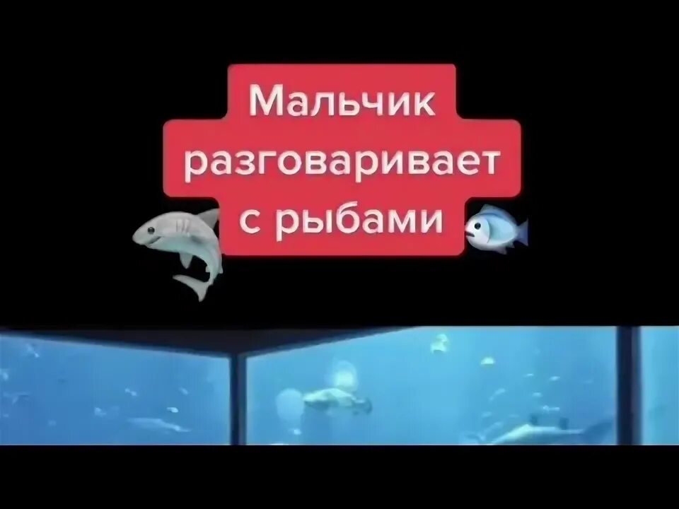 Мальчик говорящий с рыбами