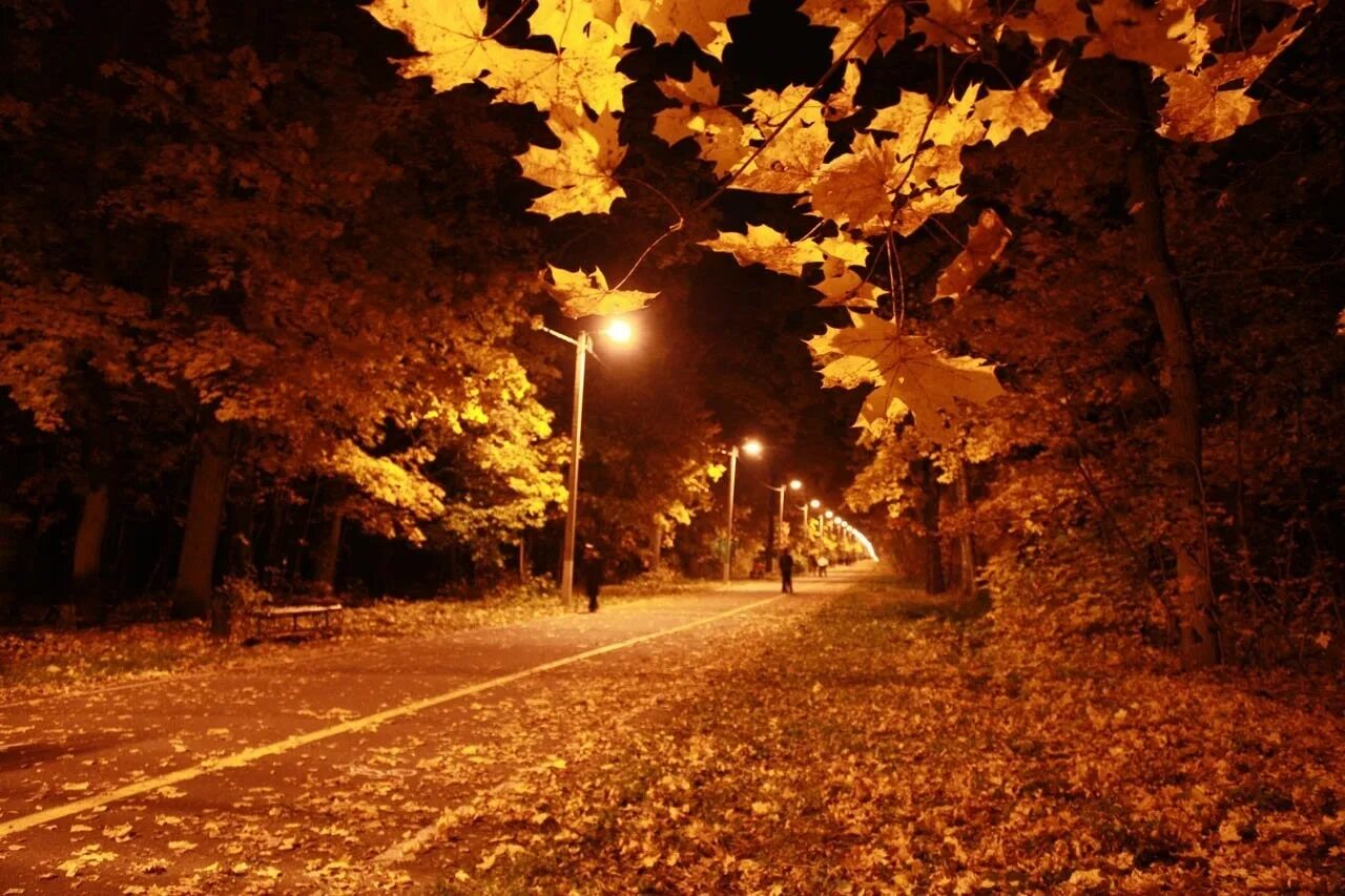 Осенняя ночь картинки