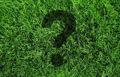 Green have
