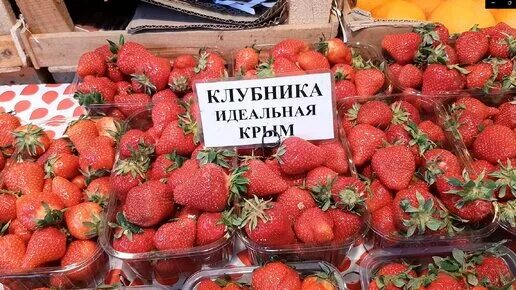 Земляника садовая сельва. Рынок летом. Клубника белая ананасная пайнберри. Клубника сорт маджестик. Клубника ананасная пайнберри.