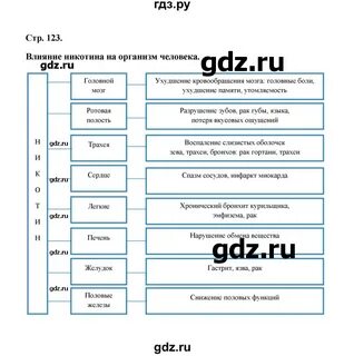 Биология 7 класс рабочая тетрадь стр 26