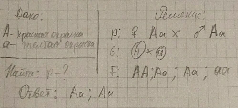 У томатов красная окраска доминирует над желтой. У моркови желтая окраска корнеплода доминирует над красной. У томатов красная окраска плода доминирует над желтой. У моркови желтая окраска корнеплода доминирует. У морковки оранжевая окраска корнеплода доминирует над желтой.