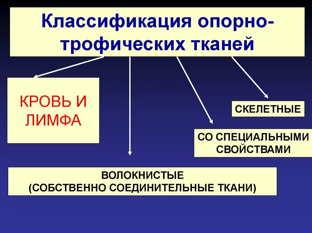Принципы классификации тканей. Классификация опорно-трофических тканей. опорные ткани классификация. общая характеристика опорно-трофических тканей их классификация. основные признаки функции и классификации опорно-трофических тканей.