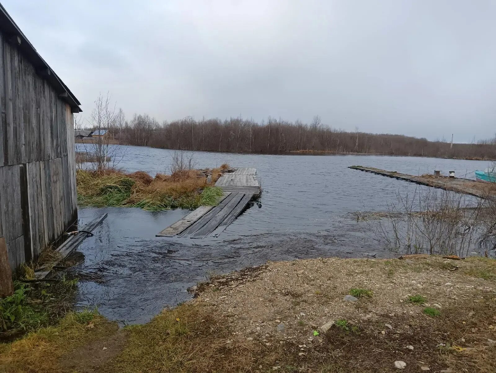 Сорокополье Вытегорский район. Река Андома. Потоп в деревне. Поселок из реки. Уровень воды в реке вологда сегодня