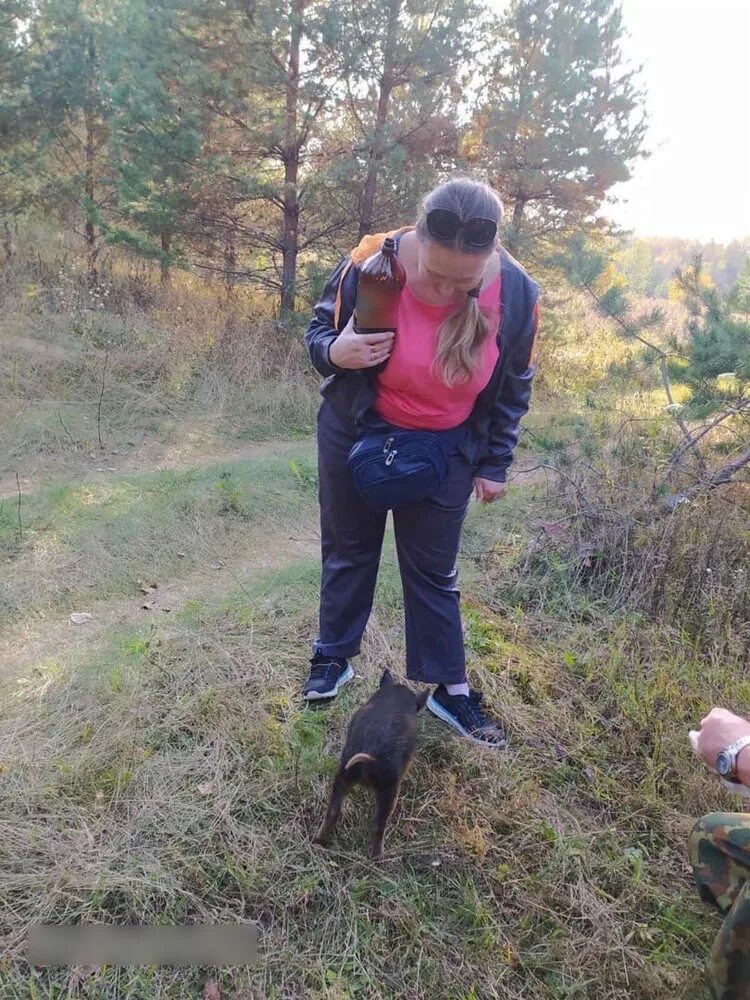 Повешенные грибники в Брянске. Потеряшки Брянск. В Брянском лесу Меньков. Двое грибников повесили в Брянской области. Подслушано в брянске брянской области