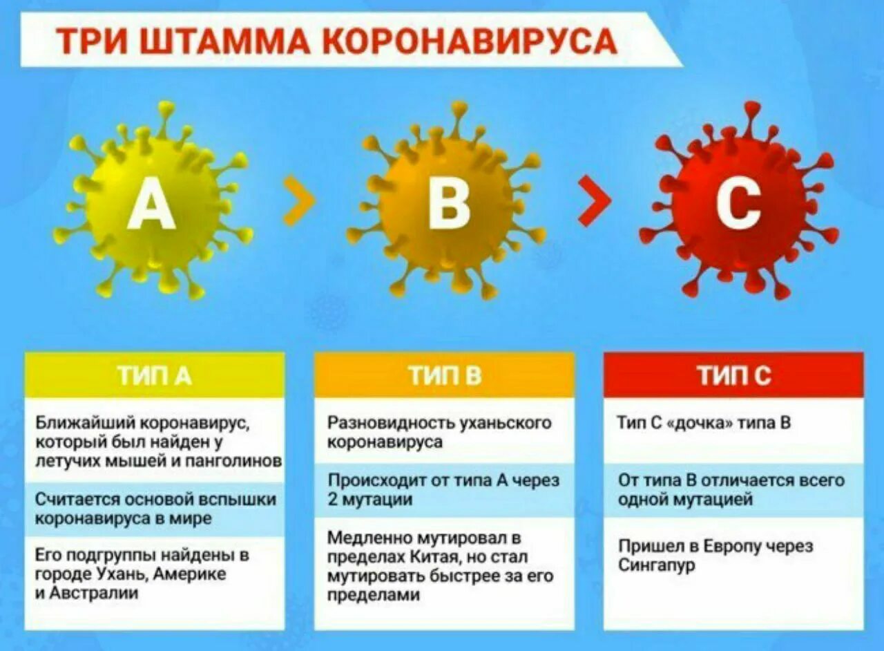 Коронавирус виды штаммов