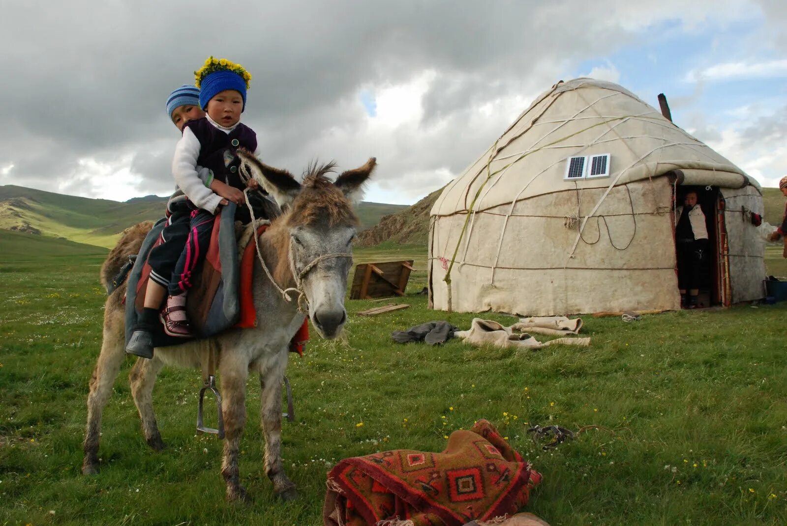 Киргизы башкирия. Юрта Кыргызстан Nomad. Ишак Киргизия. Ослы в Киргизии. Юрта кыргызов.