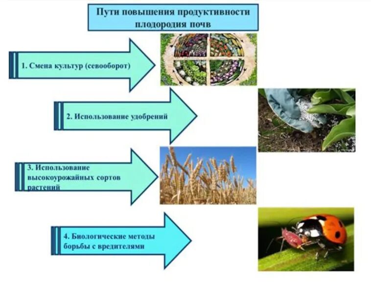 Плодородие почвы. Биологическая мелиорация почв. Пути повышения плодородия почв. Повышение плодородия почвы. Меры сохранения почвы.