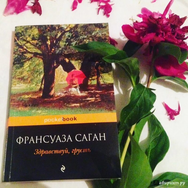 Здравствуй грусть дзен рассказы. Саган ф. "Здравствуй, грусть!". Здравствуй грусть книга.