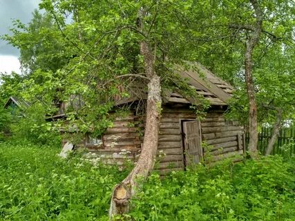Красногорские покосы снт