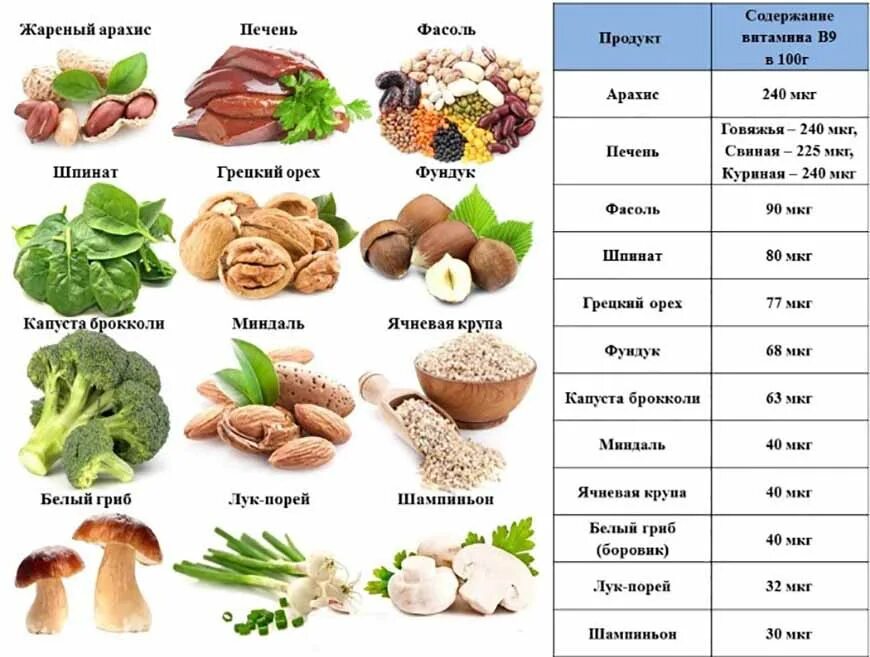 Продукты содержащие фолиевую кислоту. Витамин в9 фолиевая кислота таблица. продукты богатые витамином в9 фолиевая кислота. продукты содержащие витамин в 9 фолиевая кислота. продукты богатые витамином в9.