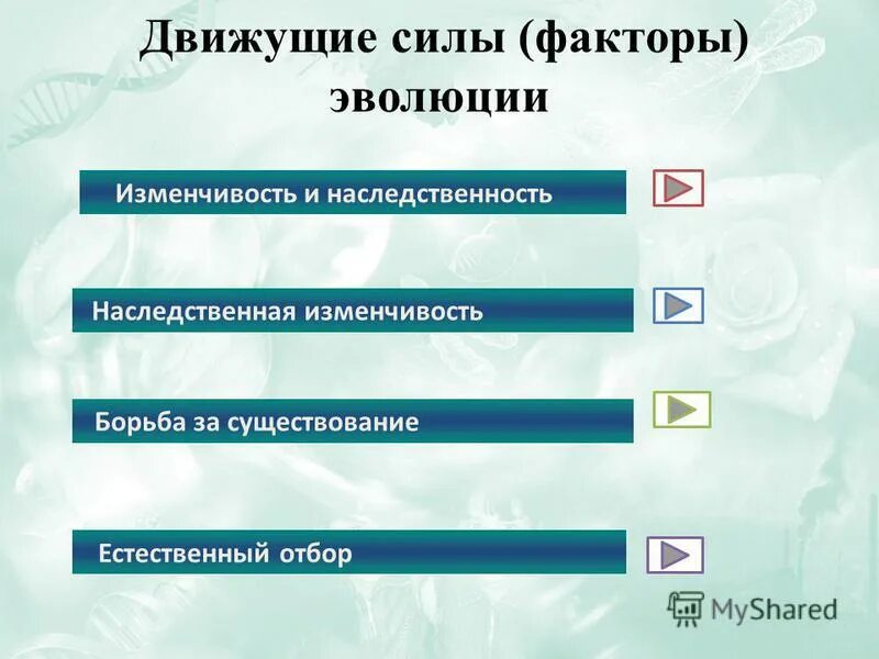 Движущая сила появления признака. Движущие факторы эволюции. Основные движущие силы эволюции. Основные факторы и движущие силы эволюции. Элементарные факторы и движущие силы эволюции.