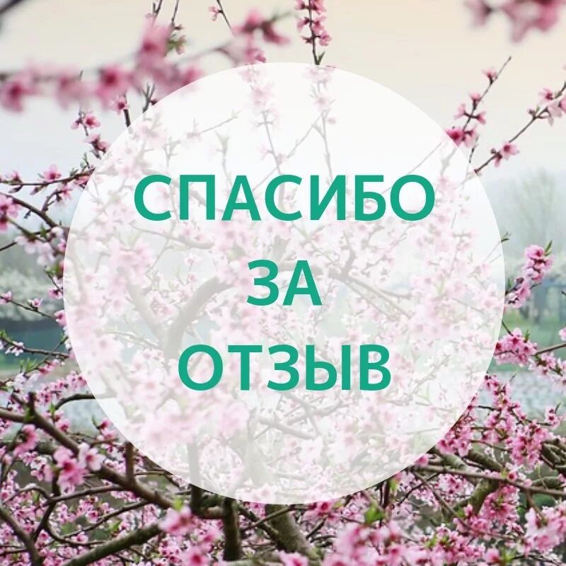 Буду благодарен за отзыв. Ваши отзывы. Спасибо за отзыв. Спасибо за отзыв картинка. Отзывы спасибо.