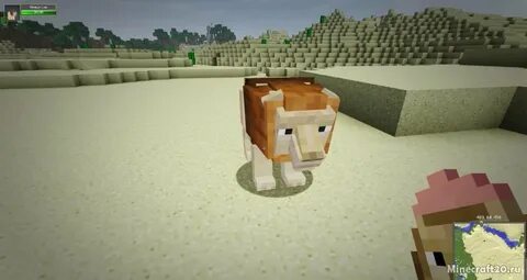 Animals 1.12 2