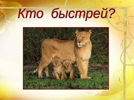 Рассказы про зверей по е барониной
