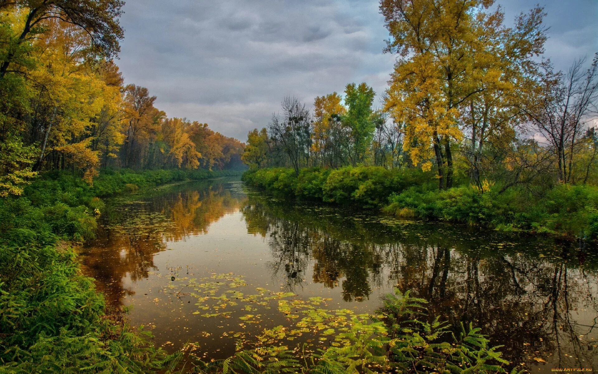 Реки россии осенью. Николина гора река осень. Золотая осень река Ишим. Река осень Тверская область. Золотая осень озеро природа река лес.