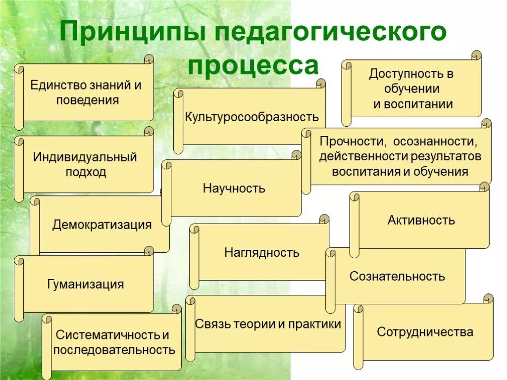 Единство процесса обучения и воспитания. Закономерности педагогического процесса схема. Схема по педагогике принципы обучения. Принцип целенаправленности педагогического процесса. Принципы воспитания в педагогике схема.