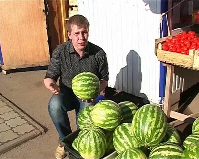Арбузы папа