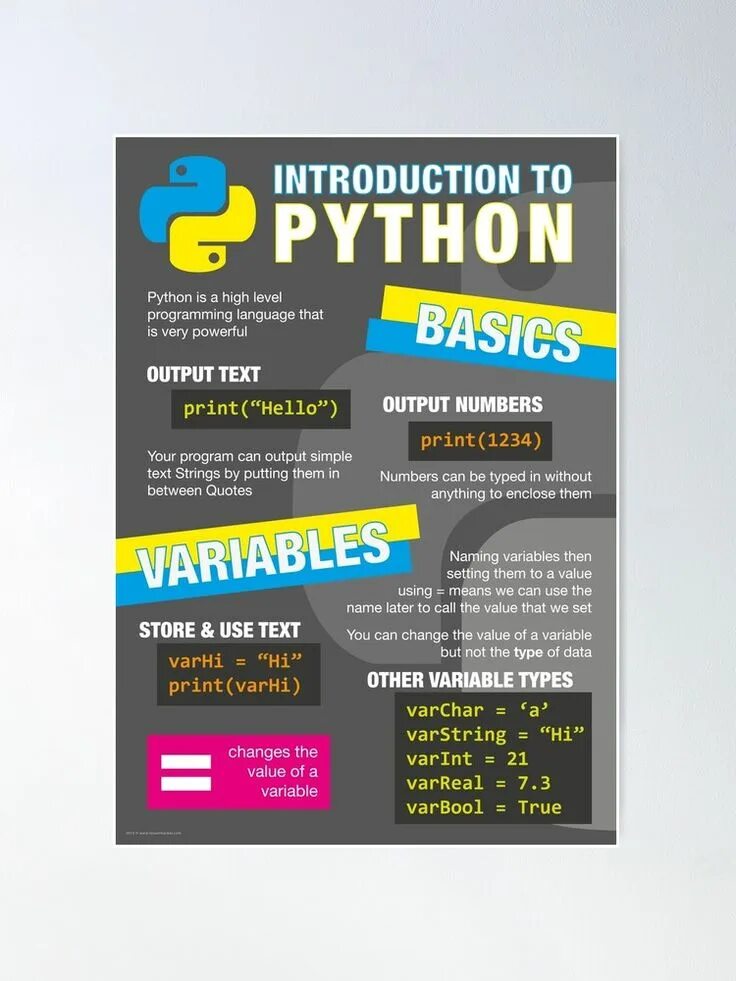 Introduction to python programming. Плакат питон. плакаты пайтон. постер python. плакат программирование python.