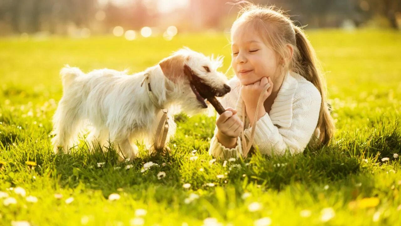 Дети ухаживают за животными. Для детей. Животные. Домашние животные для детей. Собачки для детей. Собака для детей.
